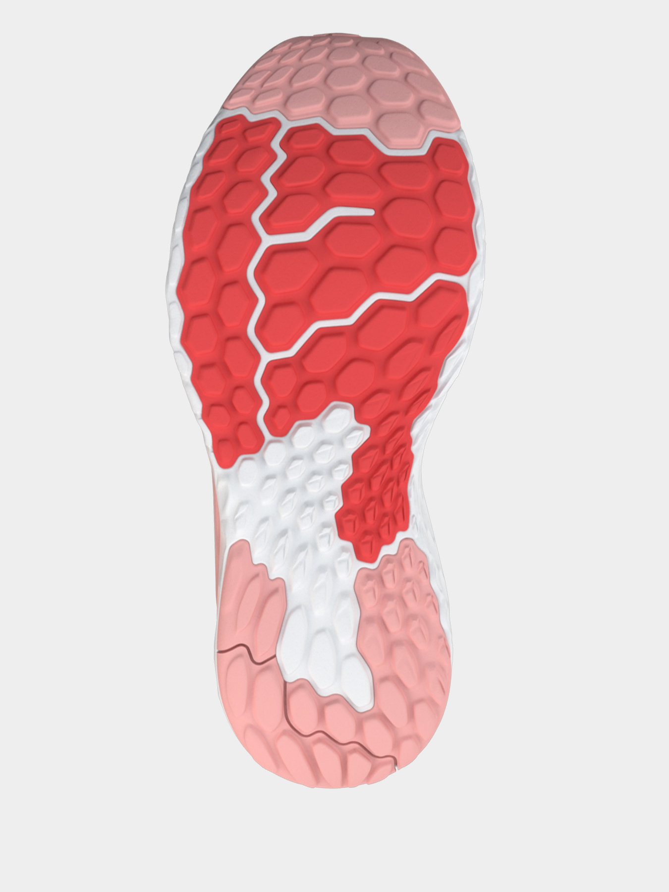 Кроссовки для бега New Balance Fresh Foam 1080v11 модель W1080C11 Фото