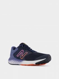 Кросівки для бігу New Balance 520 модель W520HE7 Фото