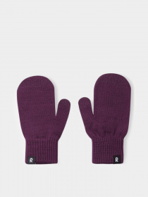 Рукавиці REIMA Renn модель 5300053A-4960 Фото