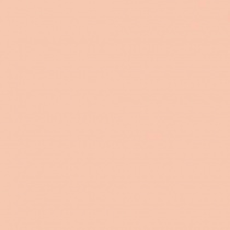 Матирующая тональная пудра Perfect Finish Malu Wilz модель MW455.01 Фото