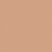 Матирующая тональная пудра Perfect Finish Malu Wilz модель MW455.03 Фото