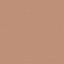 Матирующая тональная пудра Perfect Finish Malu Wilz модель MW455.04 Фото