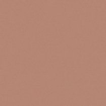 Матирующая тональная пудра Perfect Finish Malu Wilz модель MW455.05 Фото