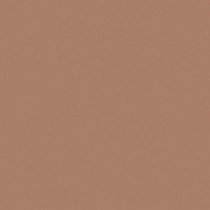 Матирующая тональная пудра Perfect Finish Malu Wilz модель MW455.06 Фото