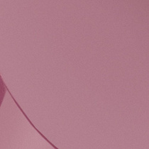 Губная помада Malu Wilz модель MW422.50 Фото