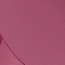 Губная помада Malu Wilz модель MW422.53 Фото