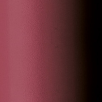 Стойкая губная помада Glossy Lip Stylo Malu Wilz модель MW4241.9 Фото