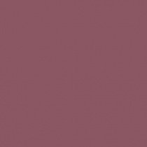 Стойкая жидкая помада Super Stay Lip Fluid Malu Wilz модель MW425.01 Фото