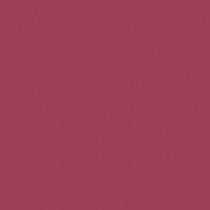 Стойкая жидкая помада Super Stay Lip Fluid Malu Wilz модель MW425.03 Фото