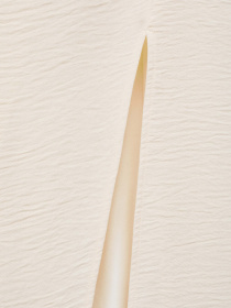 Сукня міді MANGO модель 87090608_1 Фото