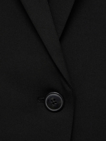 Пиджак MANGO модель 87010379_99 Фото