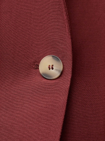 Піджак MANGO модель 87017721_77 Фото