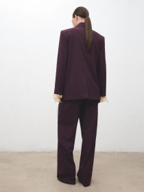 Класичні штани MANGO модель 17867895_76 Класичні штани MANGO модель 17867895_76 Фото