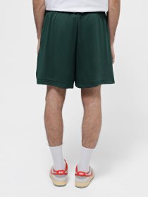 Шорти New Balance Small Logo модель MS41515NWG Фото