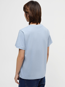 Футболка New Balance GR. V SPORT CULTURE модель WT41912LAY Фото