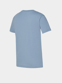 Футболка New Balance GR. V SPORT CULTURE модель WT41912LAY Фото