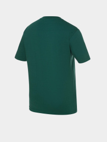 Футболка New Balance Small Logo модель MT41509NWG Фото