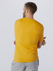 Футболки і поло New Balance Essentials Embriodered модель MT11592ASE Фото