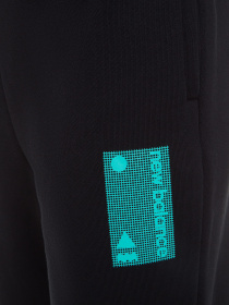 Штаны спортивные New Balance Essentials Terrain модель WP03519BK Фото