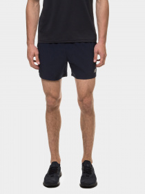 Шорти New Balance Accelerate 5in модель MS93187ECL Фото