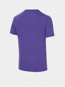 Футболки и поло New Balance Small NB Pack модель MT01660PRP Фото