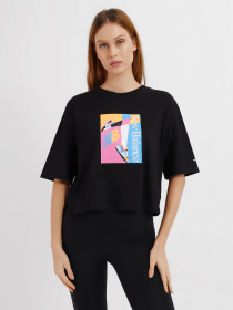 Футболки і поло New Balance Essentials Celebrate модель WT21510BK Фото