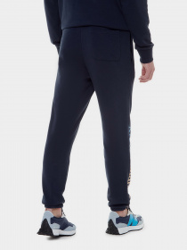 Штаны спортивные New Balance Essentials Celebrate модель MP21503ECL Фото