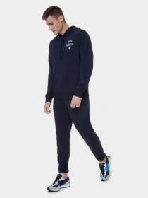 Штаны спортивные New Balance Essentials Celebrate модель MP21503ECL Фото