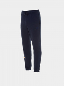 Штаны спортивные New Balance Essentials Celebrate модель MP21503ECL Фото