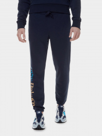 Штаны спортивные New Balance Essentials Celebrate модель MP21503ECL Фото