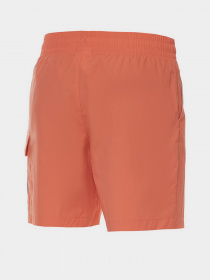 Шорты New Balance Athletics Day Tripper модель MS21551RCL Фото