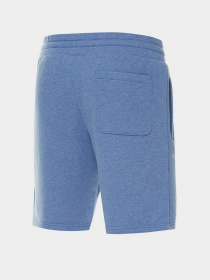 Повсякденні шорти New Balance Essentials Pure Balance модель MS21552NHR Фото