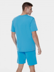 Футболка New Balance Essentials Celebrate модель MT21529VSK Фото