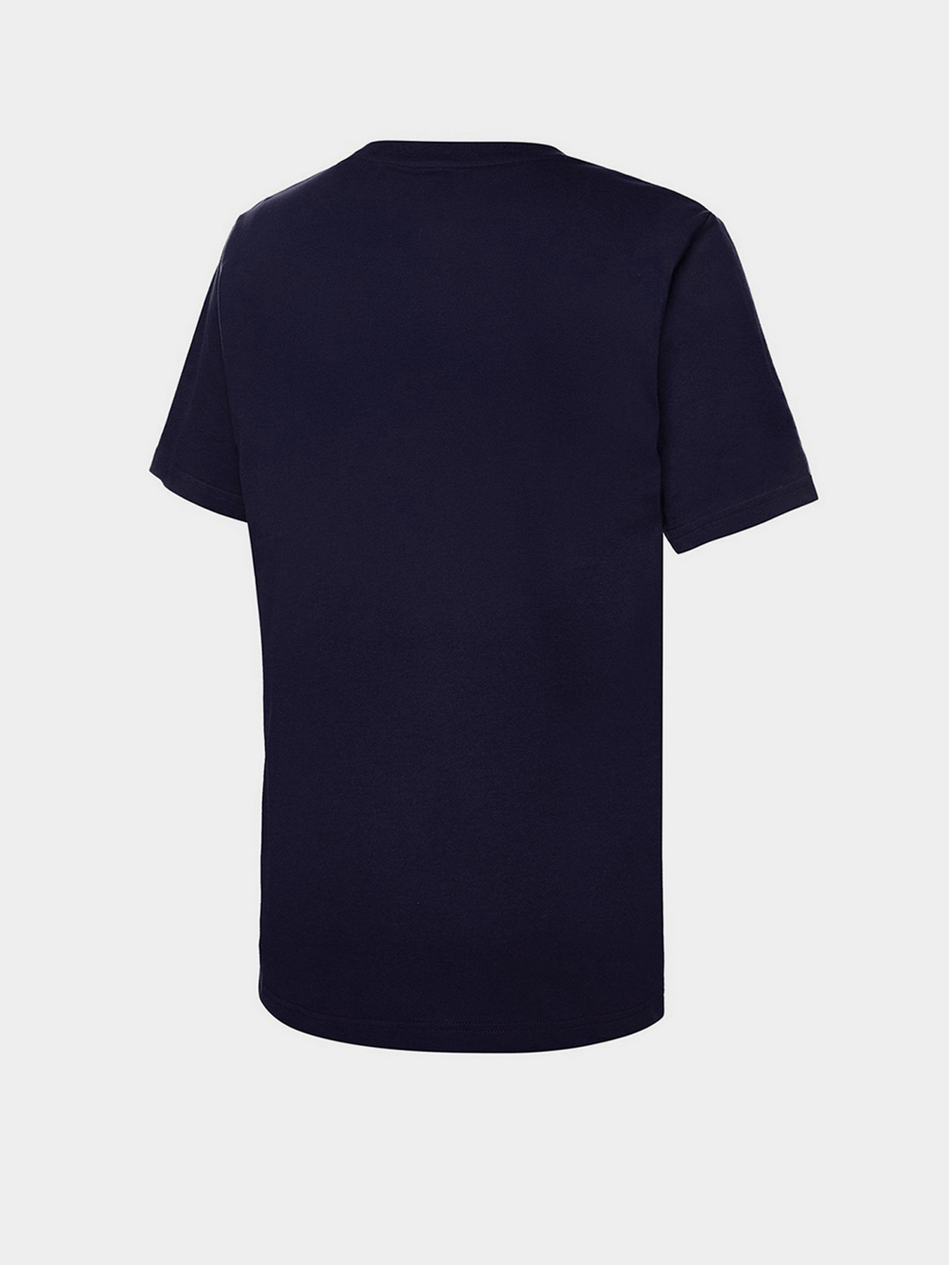 Футболки і поло New Balance Sport Graphic модель MT21903PGM Фото