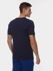 Футболки і поло New Balance Sport Graphic модель MT21903PGM Фото