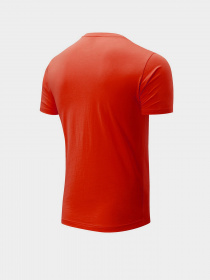 Футболка New Balance Sport Graphic модель MT21903REP Фото