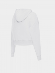 Худи New Balance Essentials Celebrate модель WT21509WT Фото