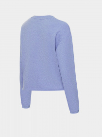 Свитшот New Balance Essentials Balanced модель WT21557NHR Фото