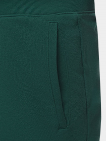 Шорти спортивні New Balance Sport Core модель MS31908NWG Фото