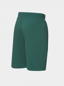 Спортивні шорти New Balance Sport Core модель MS31908NWG Фото