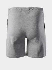 Шорти Martes Essentials модель MOEN-MEDIUM GREY MELANGE Фото