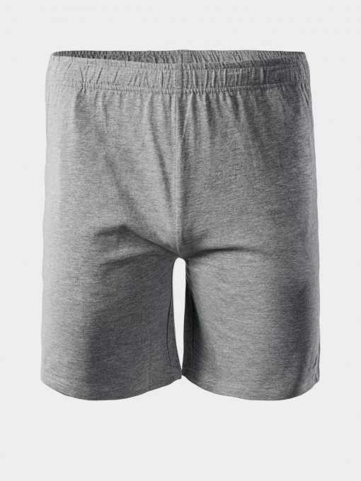 Шорты Martes Essentials модель MOEN-MEDIUM GREY MELANGE Фото