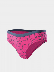 Набір трусів Martes Essentials модель PENNY-MOOD INDYGO/PINK YARROW Набір трусів Martes Essentials модель PENNY-MOOD INDYGO/PINK YARROW Фото