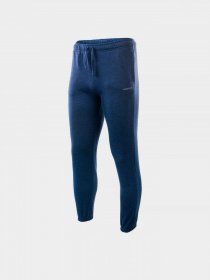 Джоггеры Martes модель MALTER-LIGHT NAVY MELANGE Фото