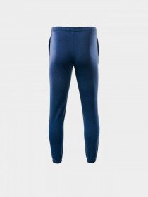Джоггеры Martes модель MALTER-LIGHT NAVY MELANGE Фото