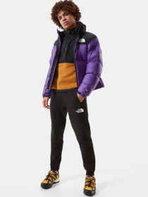 Куртка The North Face 1996 Retro Nuptse модель NF0A3C8DNL41 Фото