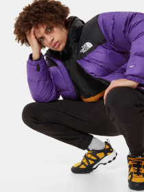 Куртка The North Face 1996 Retro Nuptse модель NF0A3C8DNL41 Фото