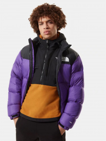 Куртка The North Face 1996 Retro Nuptse модель NF0A3C8DNL41 Фото