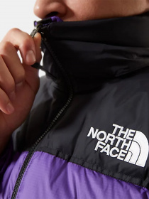 Куртка The North Face 1996 Retro Nuptse модель NF0A3C8DNL41 Фото