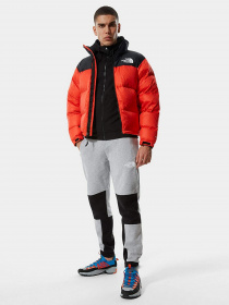 Кофта The North Face Himalayan Full Zip модель NF0A4SWMJK31 Фото